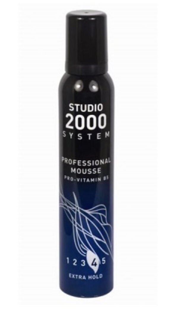 Studio 2000 System Professional Mousse